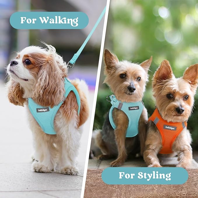 rabbitgoo Small Dog Harness, Step-in Soft Mesh Puppy Vest with Safety Buckle, Breathable Reflective Pet Harness for Small Sized Dogs, Mint Blue XS