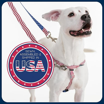 2 Hounds Design Freedom No Pull Dog Harness, Adjustable Harness, Easy Walking & Comfortable Control, Fits Small, Medium & Large Dogs, Solid Colors, Made in USA, 1" XXL, Neon Organge