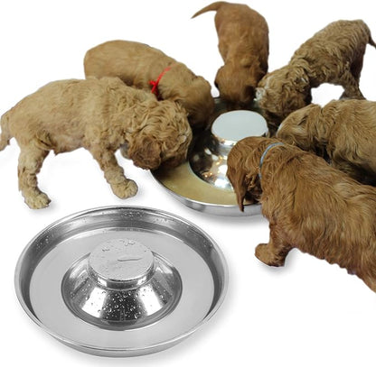 Stainless Steel Puppy Dog Bowls 2 Pack, Pets Puppies Feeding Food and Water Weaning Bowls Dishes Feeder, 13.4 Inch