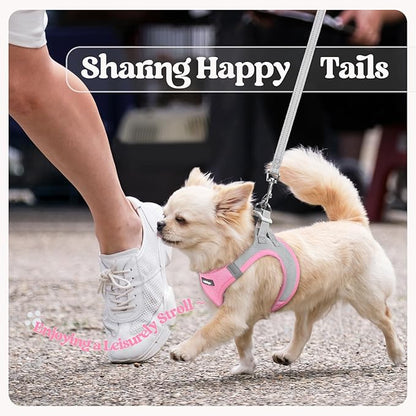 rabbitgoo Dog Harness Small Sized and Leash Set, Step in Soft Light Puppy Vest, Breathable Mesh Pet Harness, Reflective for Safe Easy Walking, Pink & Gray XXS