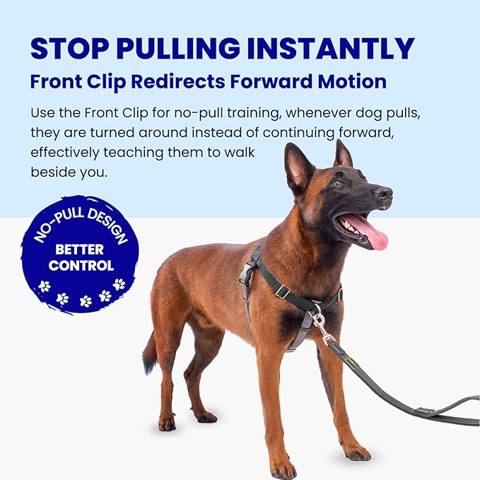 Freedom No Pull Dog Harness for Large Dogs, Easy Walker, Anti Pull with Two Stainless D-Rings, Comfortable, Sewn-in Instructions Tags for Easy Use (Black, XL)