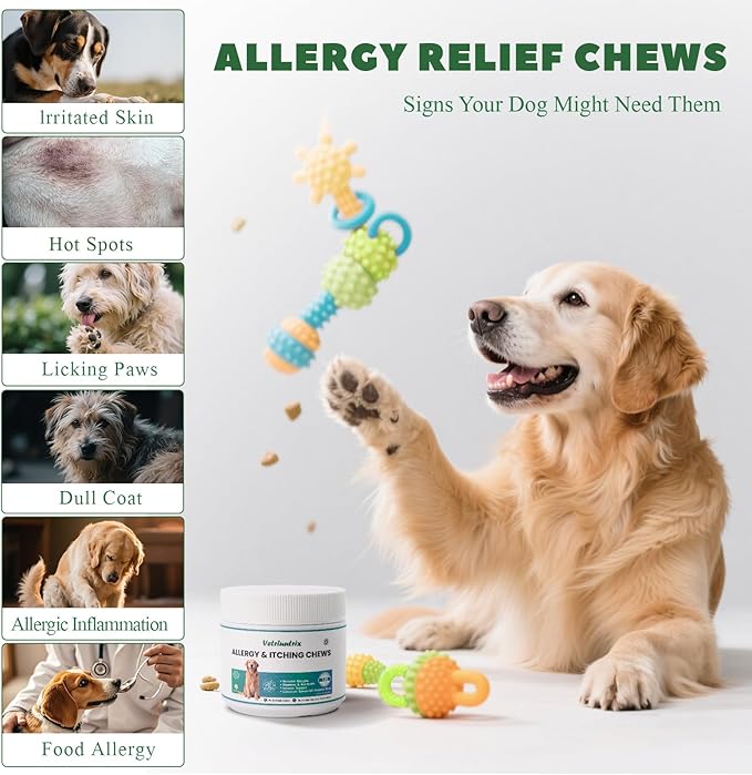 Dog Allergy Chews 200ct, Dog Allergy Relief Chews Coat Supplement for Itchy Skin Paw Licking, Probiotics for Large Dogs with Colostrum Omega-3 Turmeric Immune Supplement