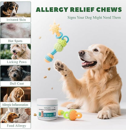 Dog Allergy Chews 200ct, Dog Allergy Relief Chews Coat Supplement for Itchy Skin Paw Licking, Probiotics for Large Dogs with Colostrum Omega-3 Turmeric Immune Supplement