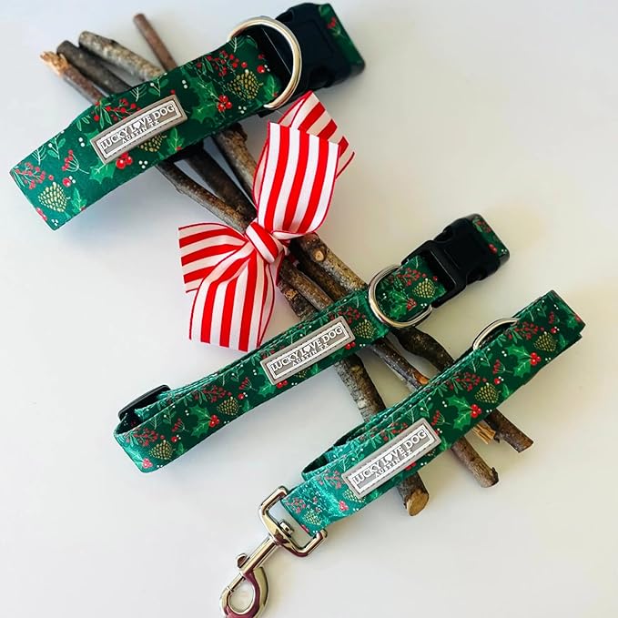 Lucky Love Dog - Easy Click Holly Dog Collar with Leash Set Combo, Durable & Comfortable for Male & Female Dogs, Pet Collar for Medium Dogs, Secure Fit - Holly Combo, Medium