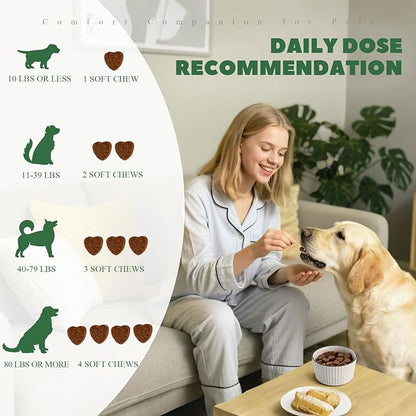 Dog Allergy Chews 200ct, Dog Allergy Relief Chews Coat Supplement for Itchy Skin Paw Licking, Probiotics for Large Dogs with Colostrum Omega-3 Turmeric Immune Supplement