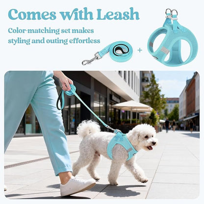 rabbitgoo Dog Harness Small Sized and Leash Set, Step in Soft Light Puppy Vest, Breathable Mesh Pet Harness, Reflective for Safe Easy Walking, Mint Blue M