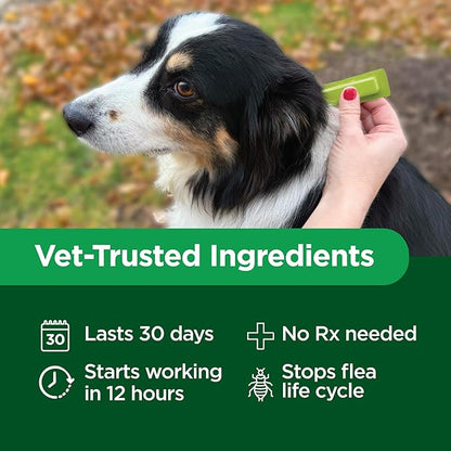 TevraPet Activate II Flea and Tick Prevention for Dogs, Small Dogs 4-10 lbs, Topical Drops, 4 Months Flea and Tick Treatment