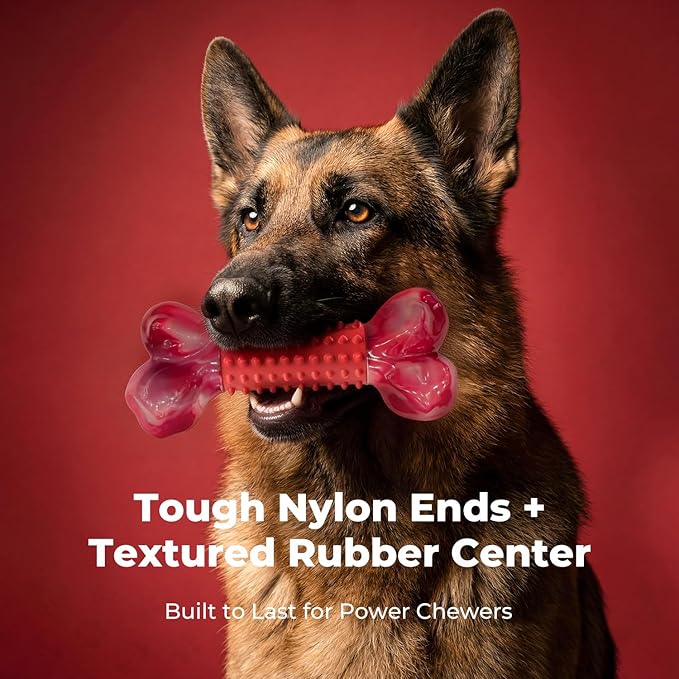 Apasiri Tough Dog Toys for Aggressive Chewers: Beef Flavored Long Lasting Dog Bones for Large Dogs, Heavy Duty Nylon & Rubber Dog Chew Toys to Keep Them Busy, Medium & Large Breed (20-80 lbs), Red