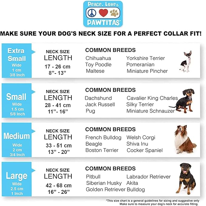 Pawtitas Value Bundle Set | Large Dog Harness + Large Dog Collar – Blue Set