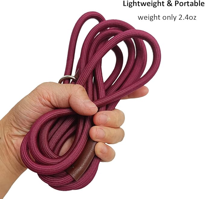 BTINESFUL 7FT Slip Lead Dog Leash, 1/4inch Lightweight Nylon Rope Leash, No-Pull Training Lead for Small Medium Dogs, Wine red