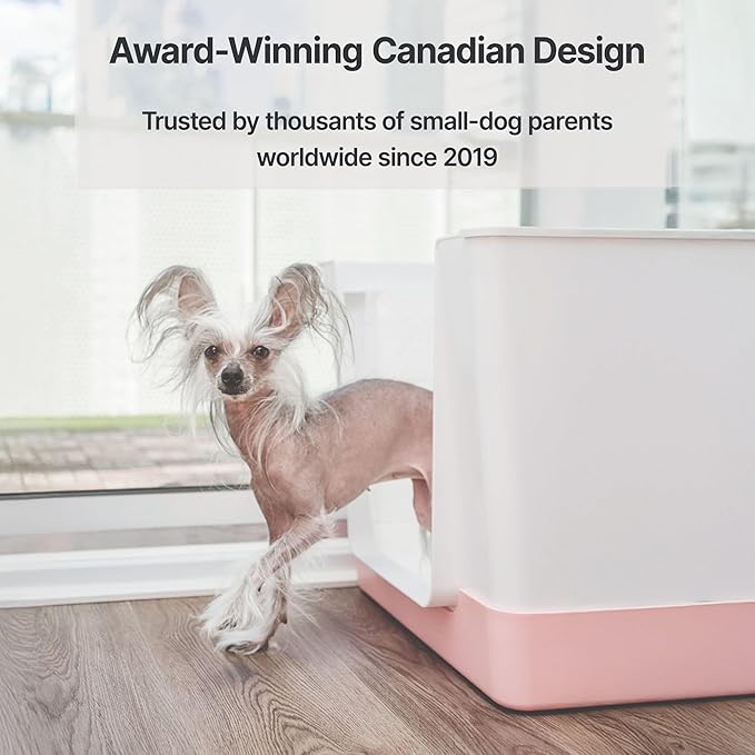Indoor Dog Potty with High Walls and Low Entry for Small Dogs — Vertical Pad Holder, Splash Guard, and Clean Modern Design by DoggyBathroom (Mini, Pink)