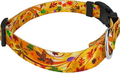 Country Brook Petz - Autumn Wind Everyday Dog Collar and Leash - Awesome Autumn Collection Featuring Designs You'll Fall for (1 Inch, Large)