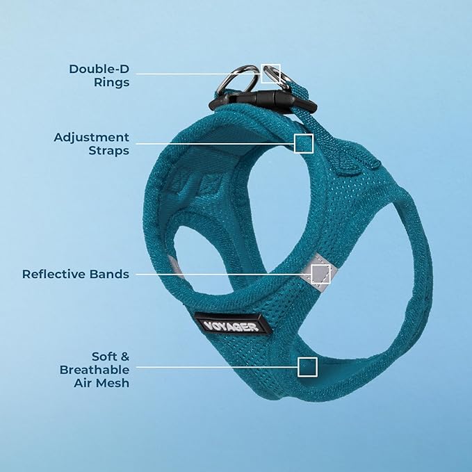 Best Pet Supplies Voyager Step-in Air Harness - All Weather Mesh, Reflective, No Pull Harness for Dogs, Cats - Secure with Hook & Loop Fastener, Buckle, Double D-Rings - Turquoise, S