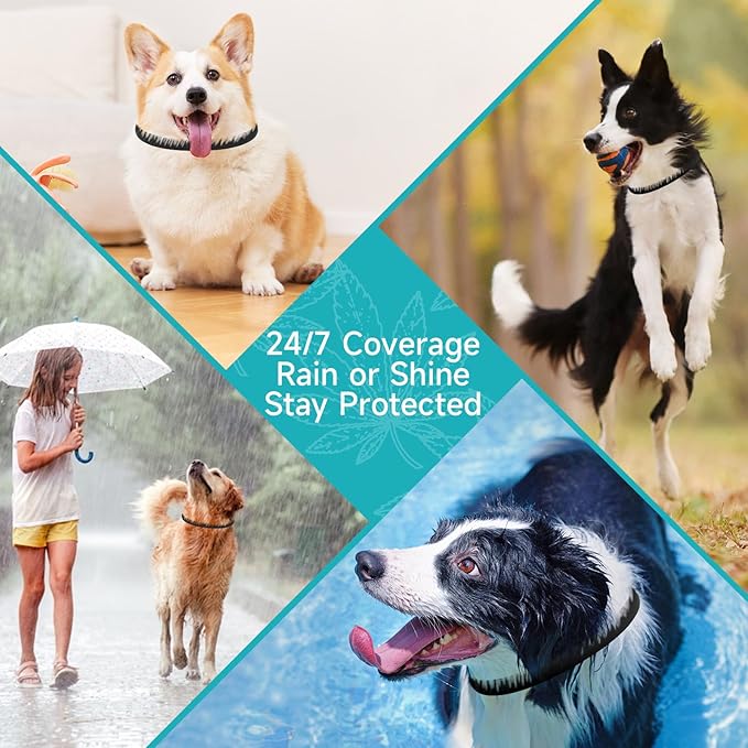Flea and Tick Prevention for Dogs, 4 Pack Flea Collar for Dogs, Dog Flea and Tick Treatment, 32 Months Protection, Waterproof, Adjustable Collar for Dog, One Size Fits All for All Breeds, Black