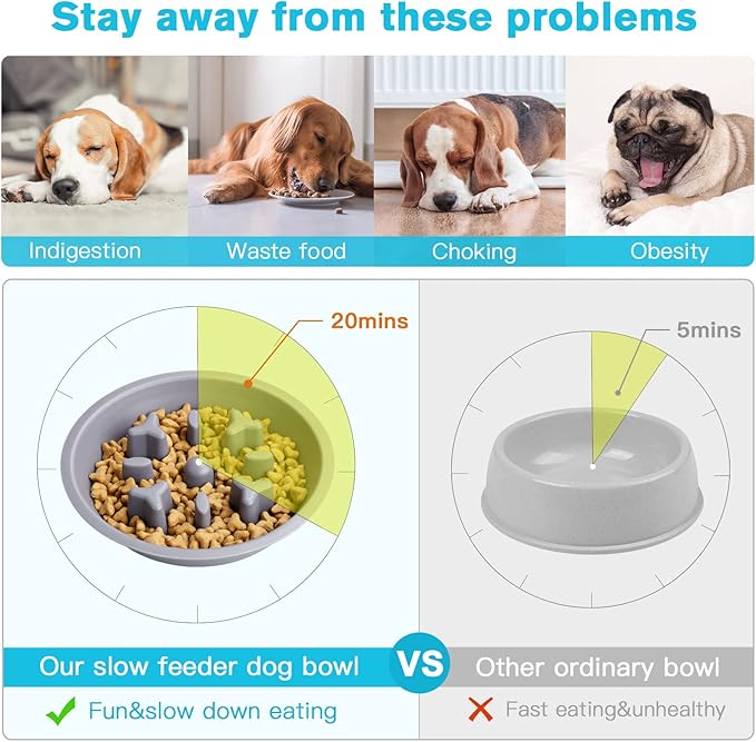 Epetslove Dog Bowls Double Dog Water and Food Bowls Stainless Steel Bowls with Non-Slip Resin Station, Pet Feeder Bowls for Puppy Medium Dogs Cats