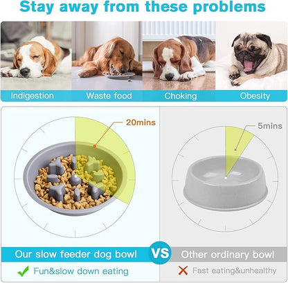 Epetslove Dog Bowls Double Dog Water and Food Bowls Stainless Steel Bowls with Non-Slip Resin Station, Pet Feeder Bowls for Puppy Medium Dogs Cats