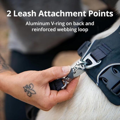Ruffwear, Front Range Dog Harness, Reflective Soft Padded Everyday Harness with Dual Leash Clips, Adjustable and Lightweight Fit for Training or Walking for All Dogs, River Rock Green, Medium