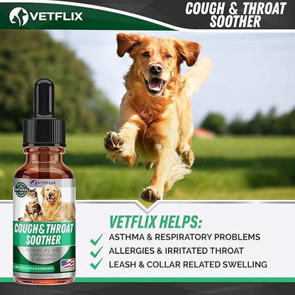 Cough Relief for Dogs, Cats, Puppies and Kittens - Made in USA - Kennel Cough and Asthma Relief - Mullein Leaf and Elderberry Blend - Dry, Wet and Barky Cough Relief - 2 Fl Oz