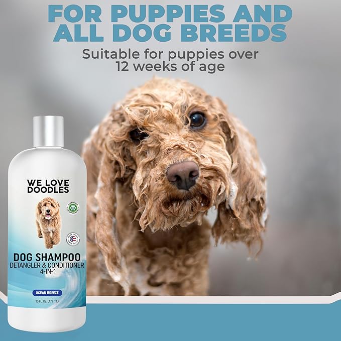 Dog Shampoo, Conditioner & Detangler-Best Shampoo for Goldendoodles, Poodles & Doodles Pet Hair -Hypoallergenic, Tearless, Sensitive Skin for Puppies & All Dog Breeds -Made in USA,16OZ (Ocean Breeze)