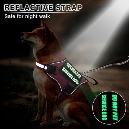 Service Dog Vest Harness and Leash Set+10 Patches,No Pull&Easy Walk Reflective Dog Harness with Soft Padded Handle for Training/Everyday,Fit Small/Medium/Large/Extra-Large Dogs(Pink M)