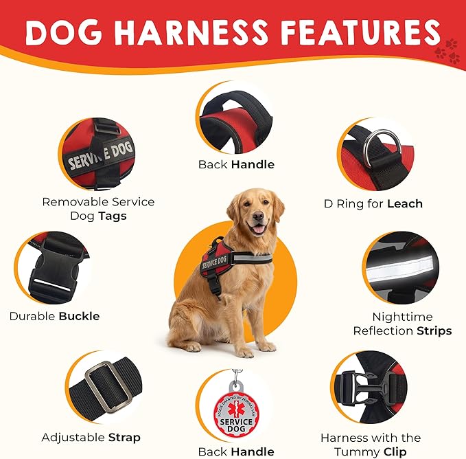 Service Dog Vest + ID Tag + 50 ADA Information Cards - Service Dog Harness w Patch in Sizes X Small to XX Large, Metal Dog Tag has Durable Clip, Service Animal Information Cards. ESA Accessory Set