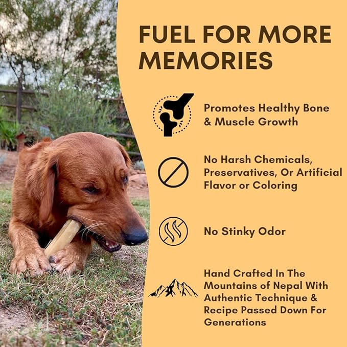 Back 40 Dogs Yak Cheese Himayalan Dog Chews – Long-Lasting Natural Chews for Aggressive Chewers – 2-Ingredient, High Protein, Odorless, Dental Health Treats for Dogs (Large, 8 Pack)