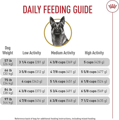 Royal Canin Breed Health Nutrition German Shepherd Adult Dry Dog Food, 30 lb Bag