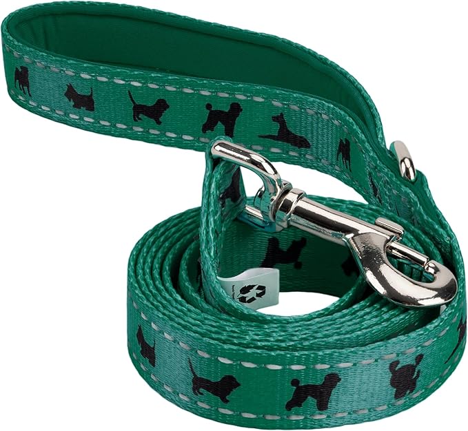 EcoBark Dog Leash - Soft & Reflective Comfort Leash with Padded Handle - Safe, Strong, & Durable for Small, Medium or Large Dogs (Forest Green)