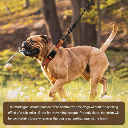 Hikiko Martingale Dog Collars Reflective Nylon Dog Collar with Quick Release Buckle Adjustable Training No Slip Dog Collar (Medium, Orange)