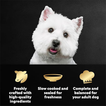 Cesar Filets in Gravy Wet Dog Food, Porterhouse Steak Flavor, 1.76 oz. Mini-Pouch, 20 Count