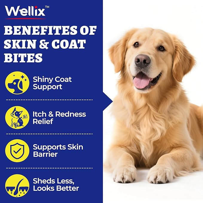 260 Bites Wellix Dog Skin and Coat Supplement - Affordable, Long-Lasting Omega 3 Fish Oil for Dogs - Supports Skin & Coat, Itching Relief & Anti-Shedding Tasty Dog Allergy Chews