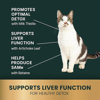 VetriScience Liver Health Chews for Cats – Daily Liver Support & Detox Supplement with Milk Thistle, Turmeric, Artichoke Leaf & Antioxidants, for Cleansing & Support, Chicken Flavor, 120 Cnt
