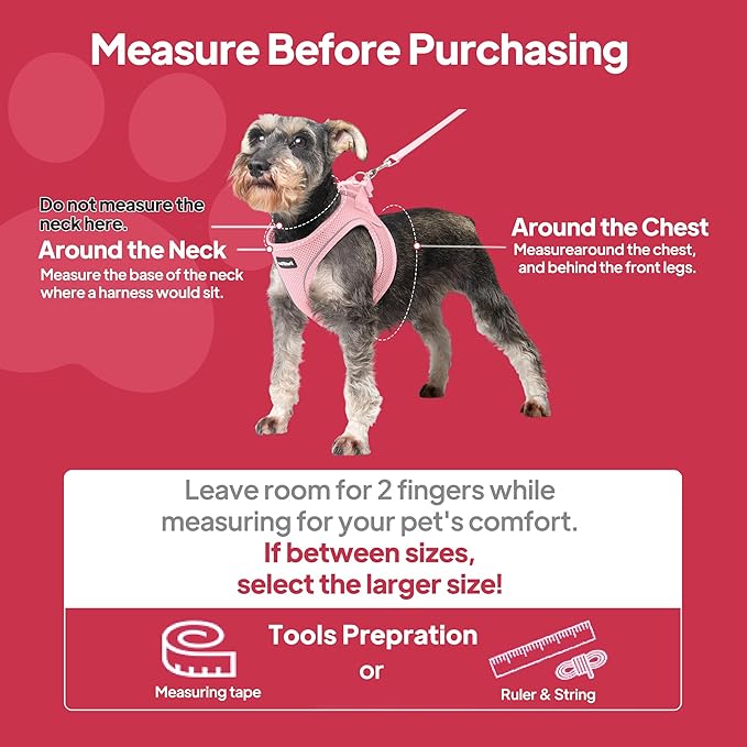 PetiFine Extra Small Step in Dog Harness and Leash Set, Cat Harness and Leash Escape Proof, All Weather Mesh Reflective, Step-in Air Vest Harnesses for Puppy(XXS, Pink)