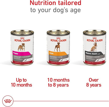 Royal Canin Canine Health Nutrition Mature Mature In Gel Dog Food, 13.5 oz (Pack of 12)