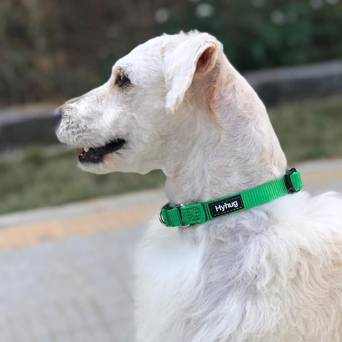 Hyhug Martingale Collar for Dogs Small Green |Escape - Proof Heavy Duty Nylon Durable No Buckle, Ideal for Training & Daily Walks