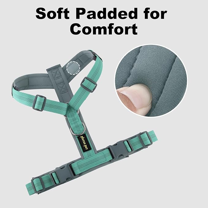 Plutus Pet No Pull Dog Harness, Adjustable Nylon Harness with Soft Padding, Reflective and Heavy Duty Dog Harness for Small, Medium, Large Dogs(Teal, L)