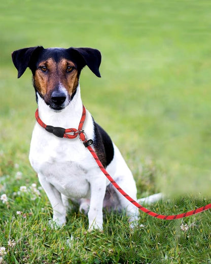 TagME 6ft Slip Dog Lead, No Pull Reflective Training Leash with Padded Handle, Professional Rope P-Leash for Small Medium Large Dogs, Heavy Duty Correction Lead for Walking & Training (Red)