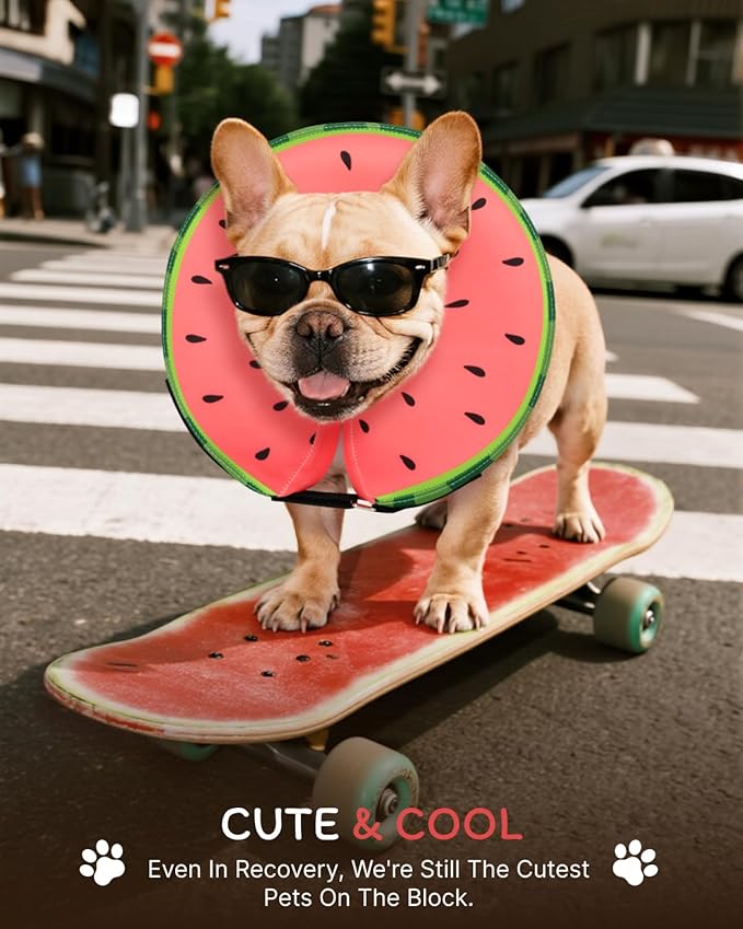 MIDOG Dog Cone Collar for Large Medium Dogs, Soft Inflatable Dog Cone Alternative After Surgery, Adjustable Protective Recovery Cone - Alternative E Collar Does Not Block Vision (Watermelon,S)