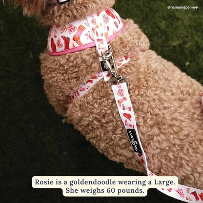 Howdy, Honey Leash