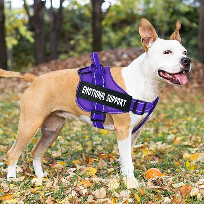 voopet Service Dog Harness, Emotional Support Pet Vest Harness, Reflective Breathable and Adjustable No-Pull ESA Dog Harness for Small Medium Large Dogs (with 4 PCS Removeable Tags)