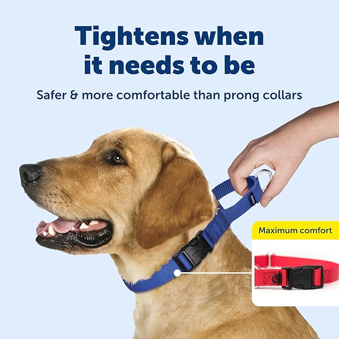 PetSafe Martingale Collar with Quick-Snap Buckle - Adjustable No-Slip Quick Release Dog Collar - Everyday Wear No-Pull Training Aid - 1" Wide - Large - Red