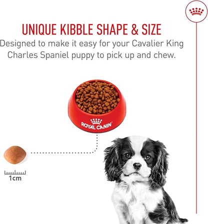 Royal Canin Breed Health Nutrition Cavalier King Charles Spaniel Puppy Dry Dog Food, 3 lb Bag