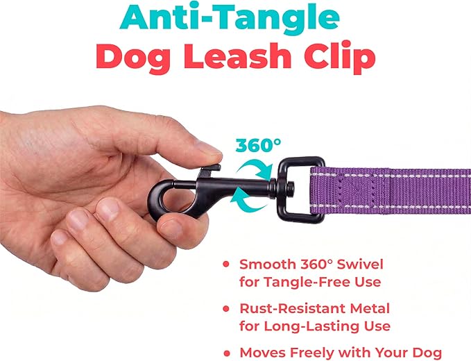 Best Pet Supplies Voyager Reflective Dog Leash or Collar with Neoprene Handle, for Small, Medium, and Large Breed Puppies, Cute and Heavy Duty for Walking, Running and Training - Purple (Leash), L