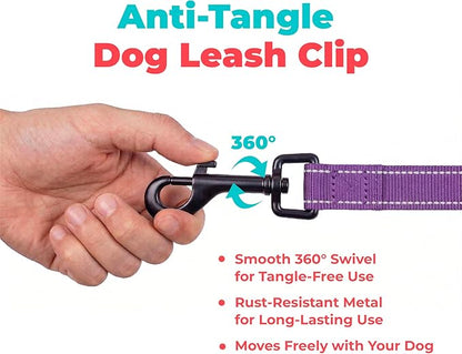 Best Pet Supplies Voyager Reflective Dog Leash or Collar with Neoprene Handle, for Small, Medium, and Large Breed Puppies, Cute and Heavy Duty for Walking, Running and Training - Purple (Leash), L
