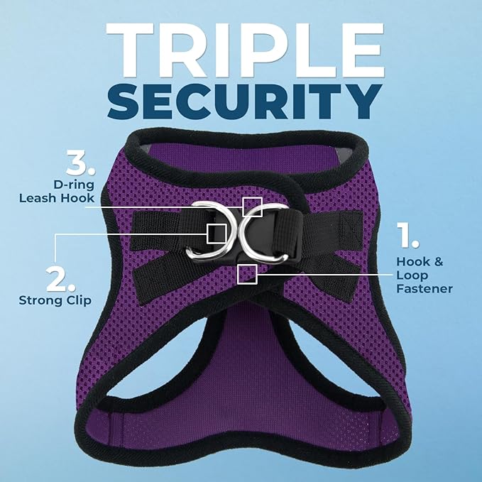 Best Pet Supplies Voyager Step-in Air All Weather Mesh Harness and Reflective Dog 5ft Leash Combo with Neoprene Handle, for Small, Medium and Large Breed Puppies - Set (Purple/Black Trim), XX-Small