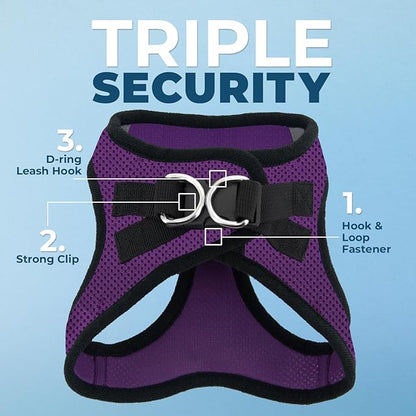 Best Pet Supplies Voyager Step-in Air All Weather Mesh Harness and Reflective Dog 5ft Leash Combo with Neoprene Handle, for Small, Medium and Large Breed Puppies - Set (Purple/Black Trim), XX-Small