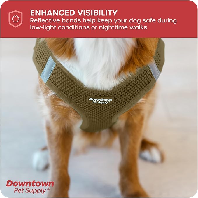 Downtown Pet Supply Step in Dog Harness for Small Dogs No Pull, Medium, Hunter Green - Adjustable Harness with Padded Mesh Fabric and Reflective Trim - Buckle Strap Harness for Dogs