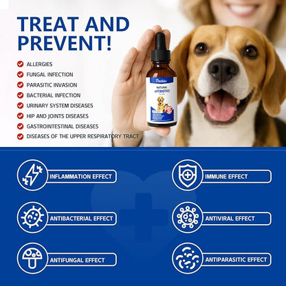 Natural Antibiotics for Dogs - Organic Herbal Supplement Liquid Drops for Immune Support, Allergies Relief, Skin & Coat Health, Digestion, UTIs, Skin Infections & Kennel Cough - All Breeds & Ages