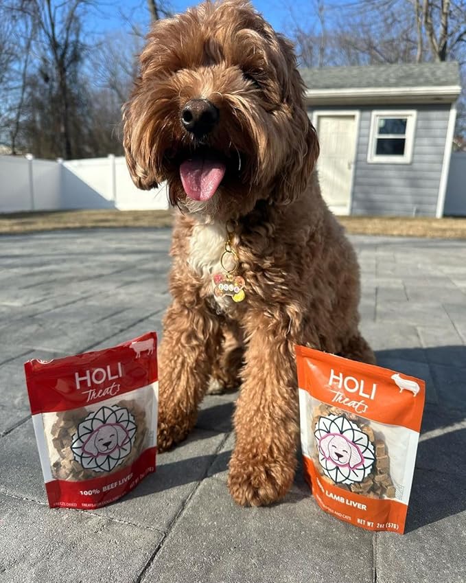 HOLI Freeze Dried Beef Liver Dog Treats – Single Ingredient Beef Dog Treats – Pasture Raised Liver Dog Treats Made in USA – Healthy Liver Treats for Dogs & Diabetic Dog Treat-Friendly - 2oz