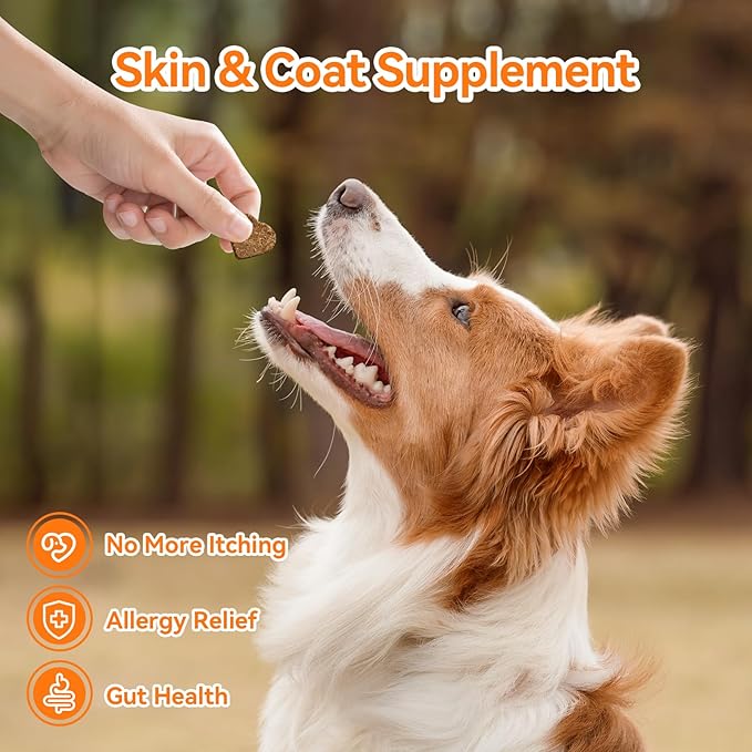 Dog Allergy Chews 200ct- Probiotics for Dogs with 5 Gut Digestive Enzymes,Colostrum- Dog Allergy Itch Relief for Hot Spots Ears Paw Licking, Skin & Coat Seasonal Allergies lmmune Support